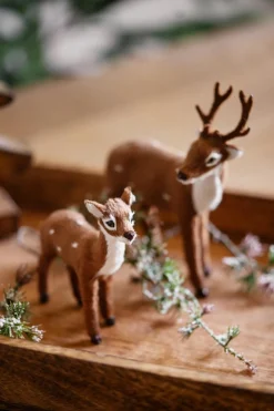 Dåhjort liten