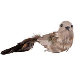 Fugl på klype Hugo