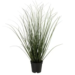 Gress i potte 48cm