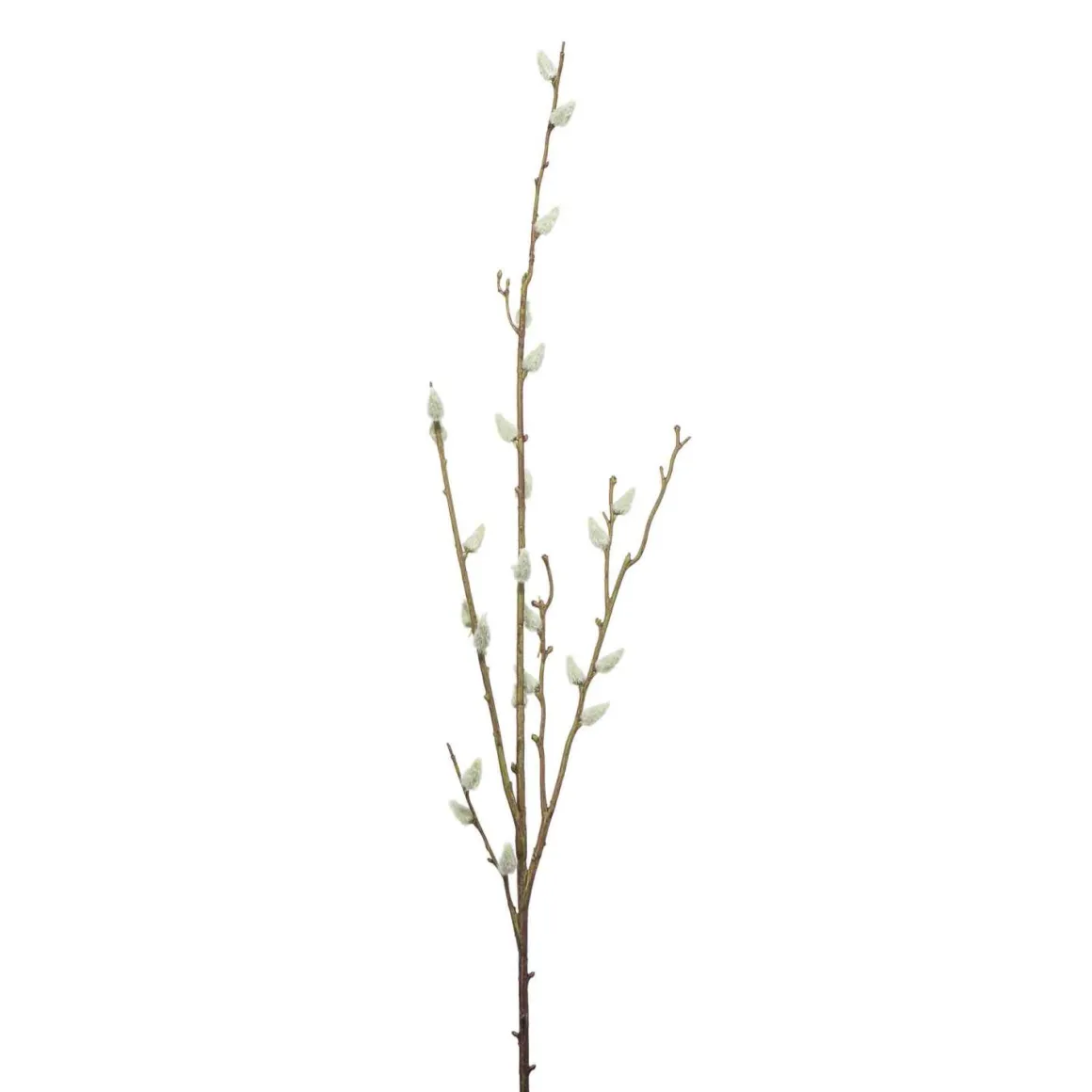 Gåsunger gren