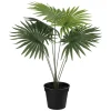 Plante Livistona 42cm