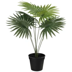 Plante Livistona 42cm