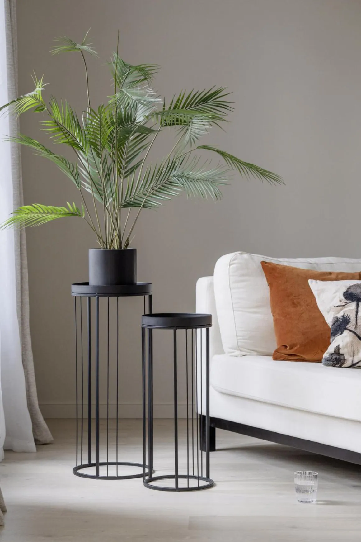Plante Palme stor