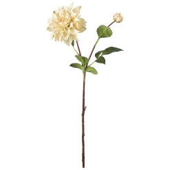 Stilkblomst Dahlia 70 cm off white
