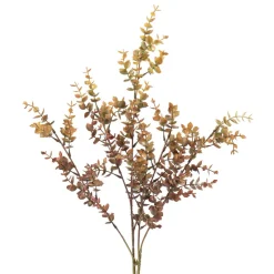 Stilk eucalyptus