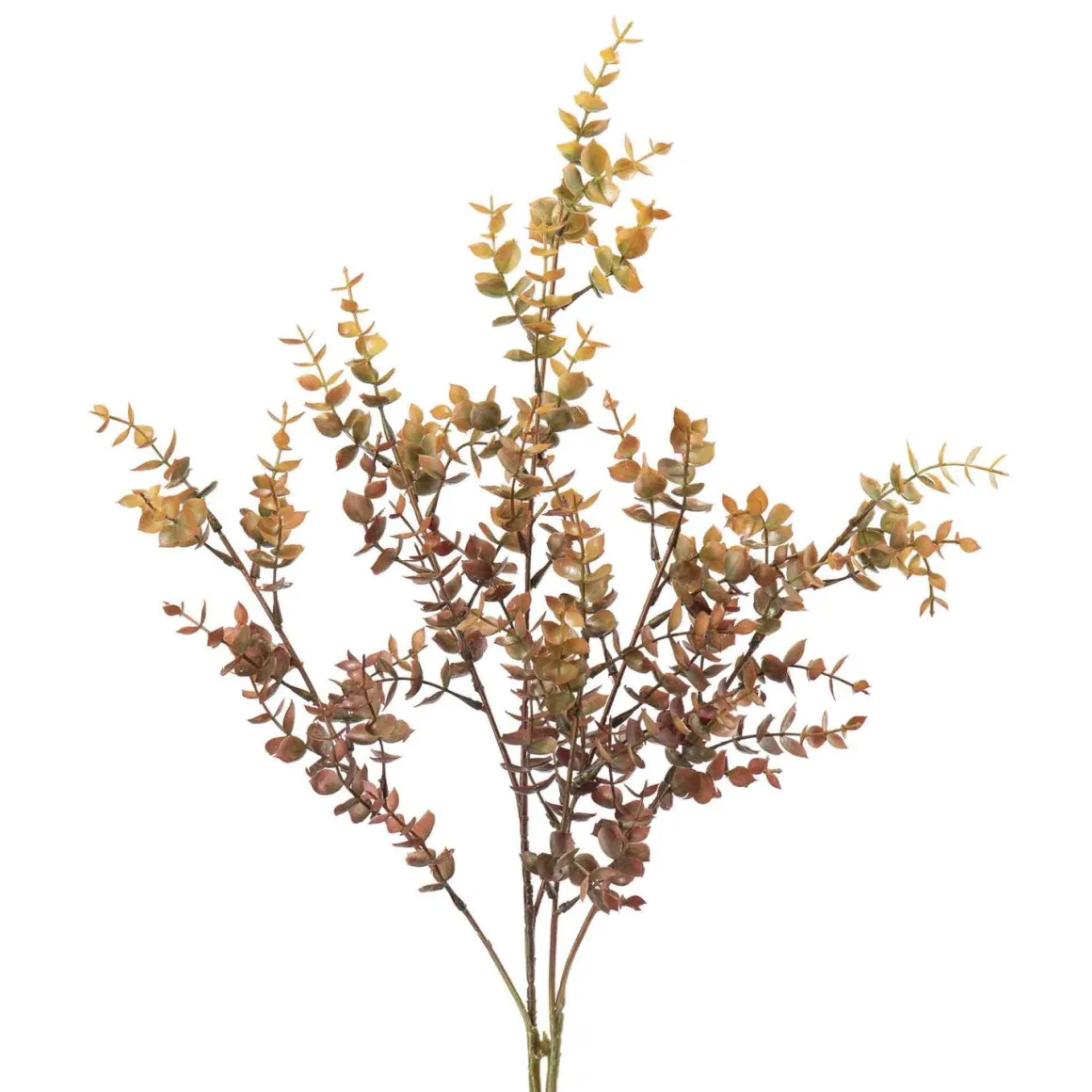 Stilk eucalyptus